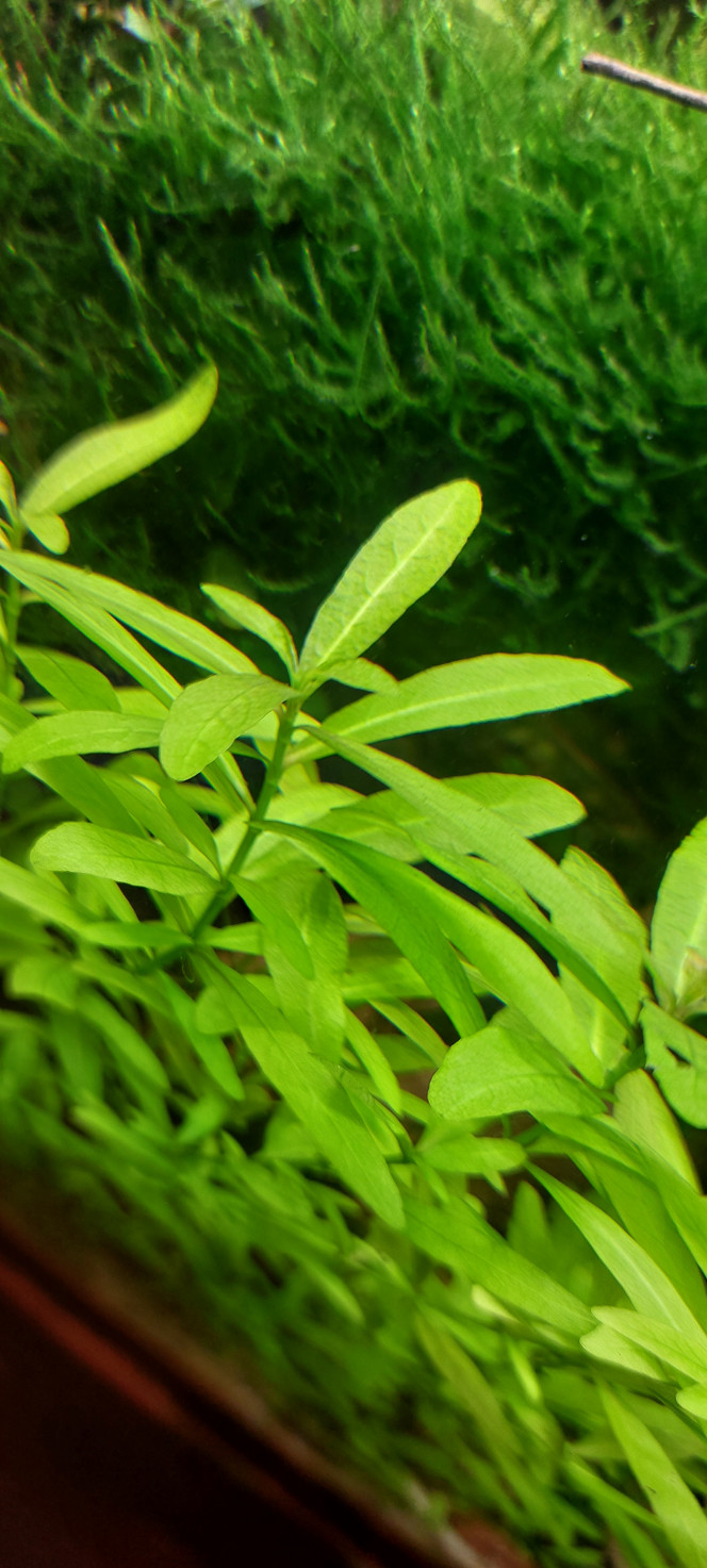 Photographie du post de aqua1230 