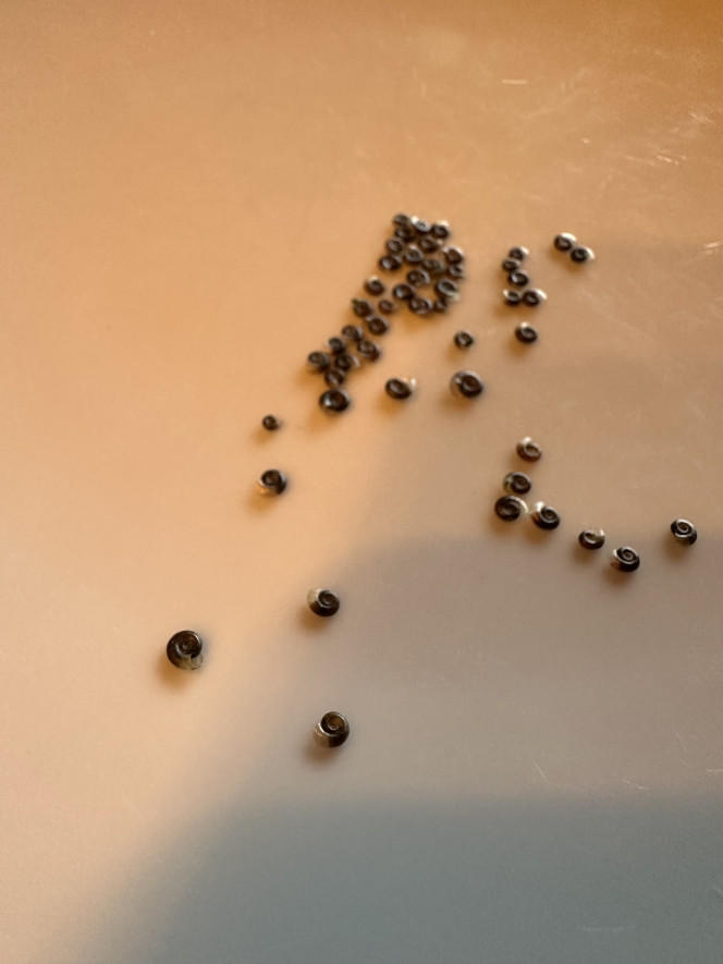Photographie du post de Domer 