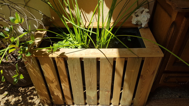 BASSIN TERRASSE 