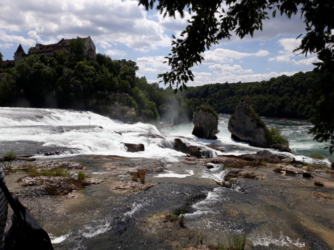 Photographie du post de Dimu 