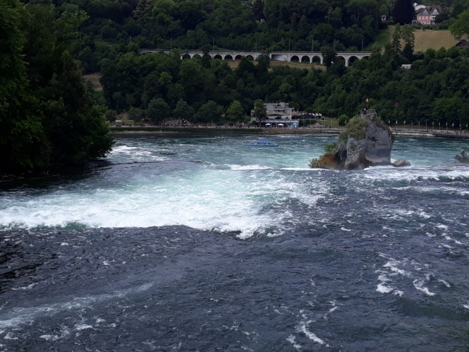 Photographie du post de Dimu 