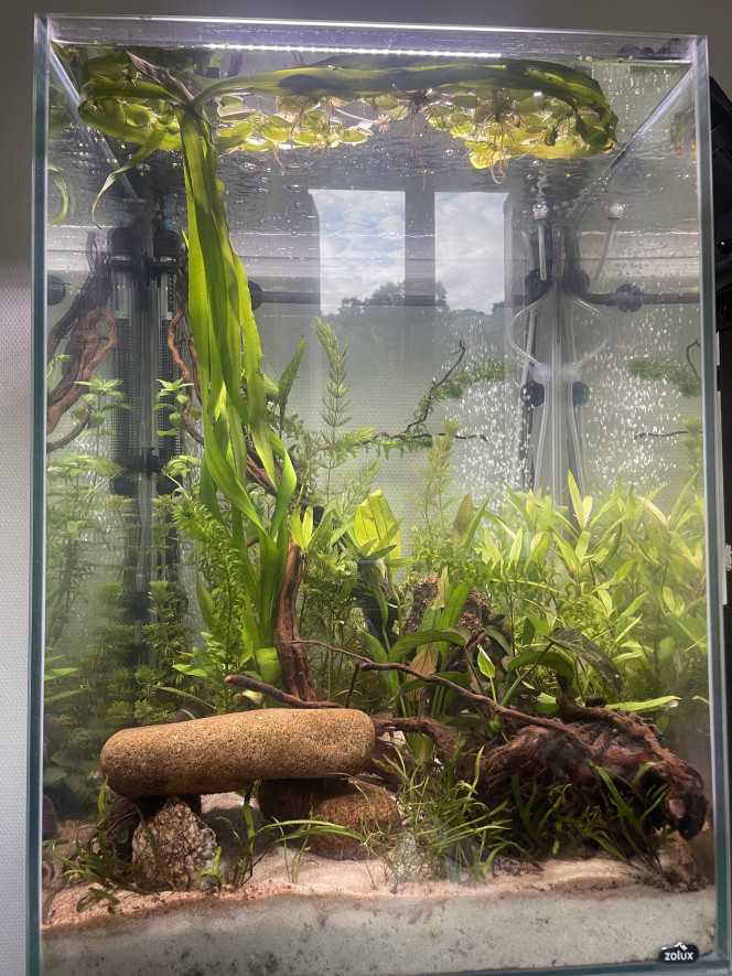 Aqua colonne 50 170 l 150 Aquarium de 175 l / 160L utiles