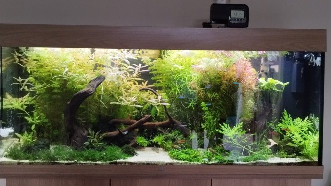 Rio240 Juwel 