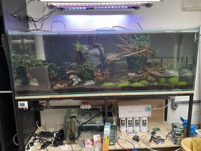 Mise en eau ! Mise en eau terminée hier, nous sommes en cours d’ajout de nouvelles plantes