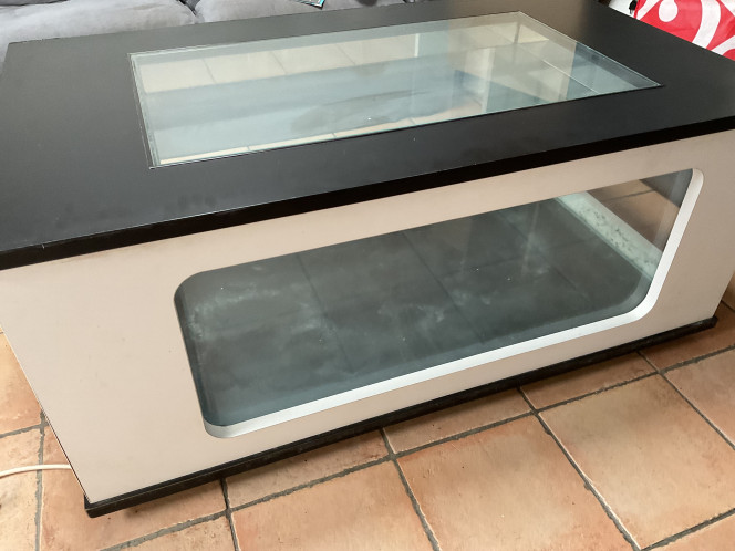 Aquatable Projet pour rentrer les Tanichthys albonubes en hiver avec un couple de Macropodus ocellatus et sans doute des crevettes Amano. Plus grand que je pensais, en mesurant j’arrive à environ 300L brut !