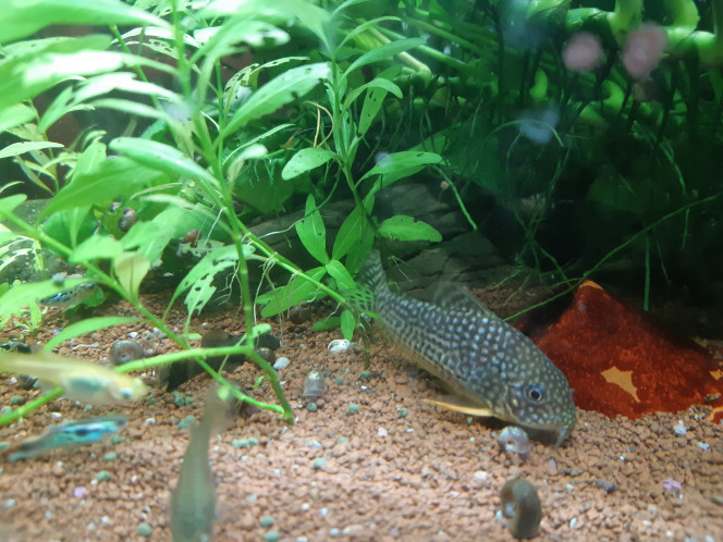 Photographie du post de Fishlover 