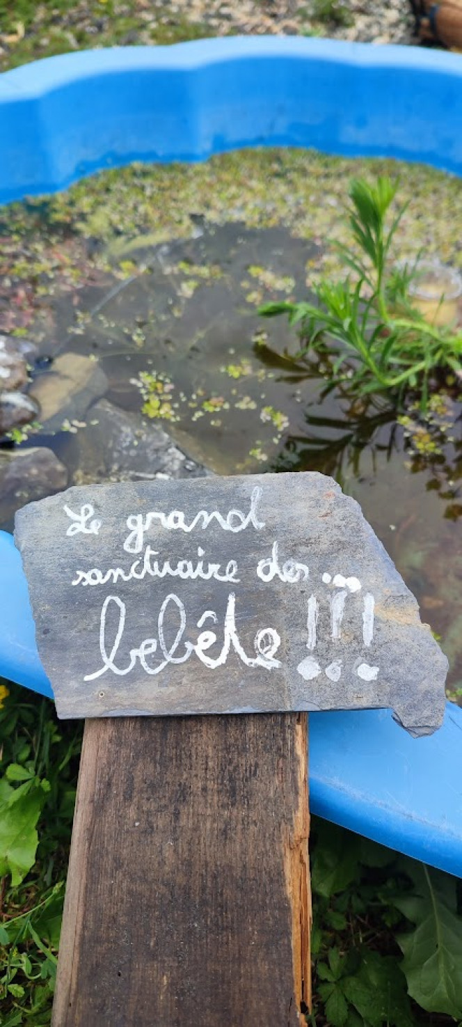Poubellariums Une poubelle ou un contenant, de l'eau, de la pouzzolane, des plantes, et paf ça fait des chocapics.

L'enfant a suivi mon exemple, et au lieu d'utiliser sa piscine comme une piscine il en a fait son sanctuaire à larves de moustique haha il me vole toutes mes boutures de mes plantes!
