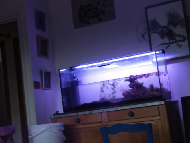 Photographie du post de Fishknight 