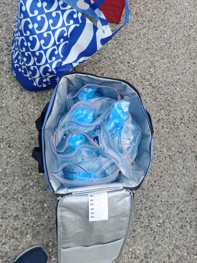 Début de l'aventure Paris Chambéry Oubliée la glacière, un saut au Carrefour et achat d'une glacière camping très pratique et une flopée de sacs de congélation avec zip