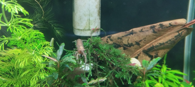 Photographie du post de Olivier1977 