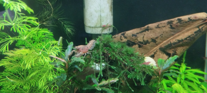 Photographie du post de Olivier1977 