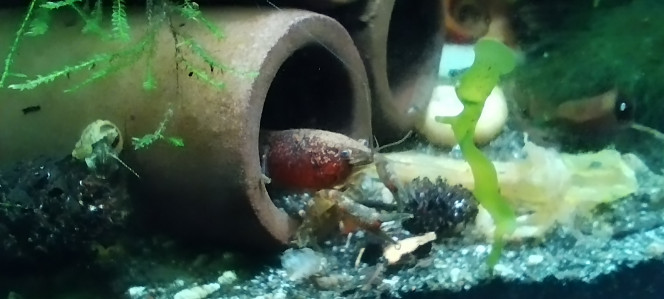 Photographie du post de Olivier1977 