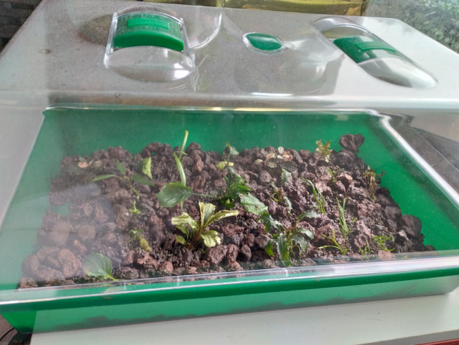 Photographie du post de lolo95 