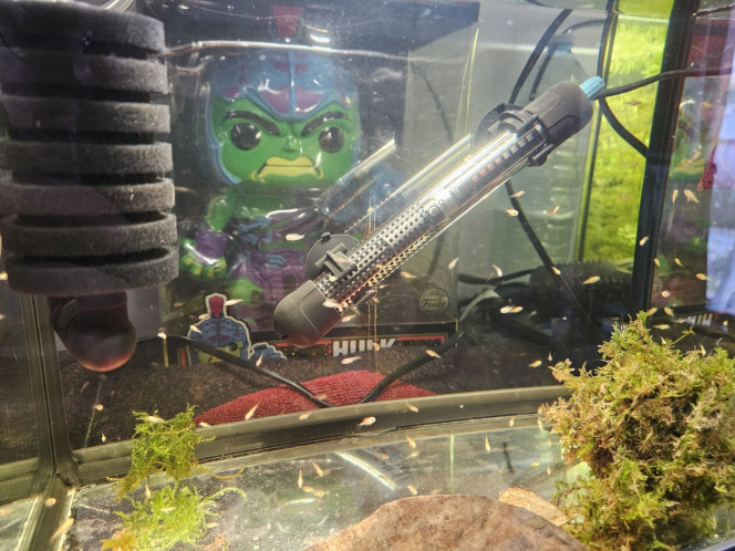 Photographie du post de Neyfun 