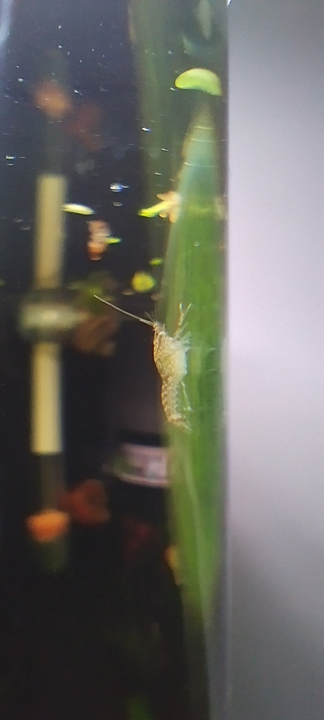 Photographie du post de Olivier1977 