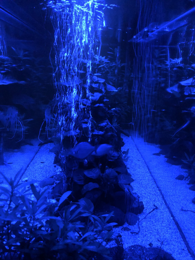 Photographie du post de FabulousFab 