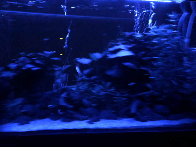 Photographie du post de FabulousFab 