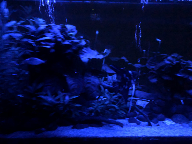 Photographie du post de FabulousFab 