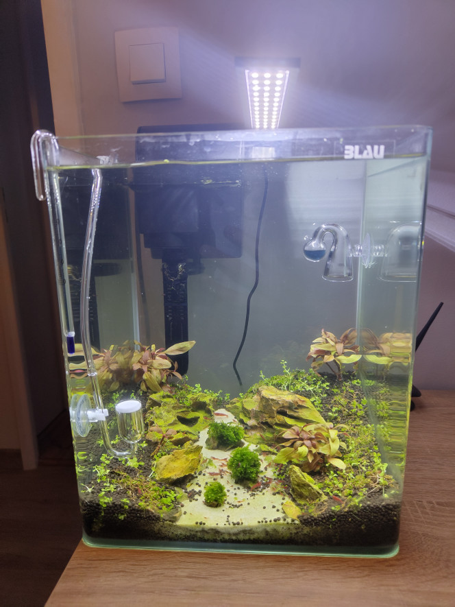 Photographie du post de Sashabro387 