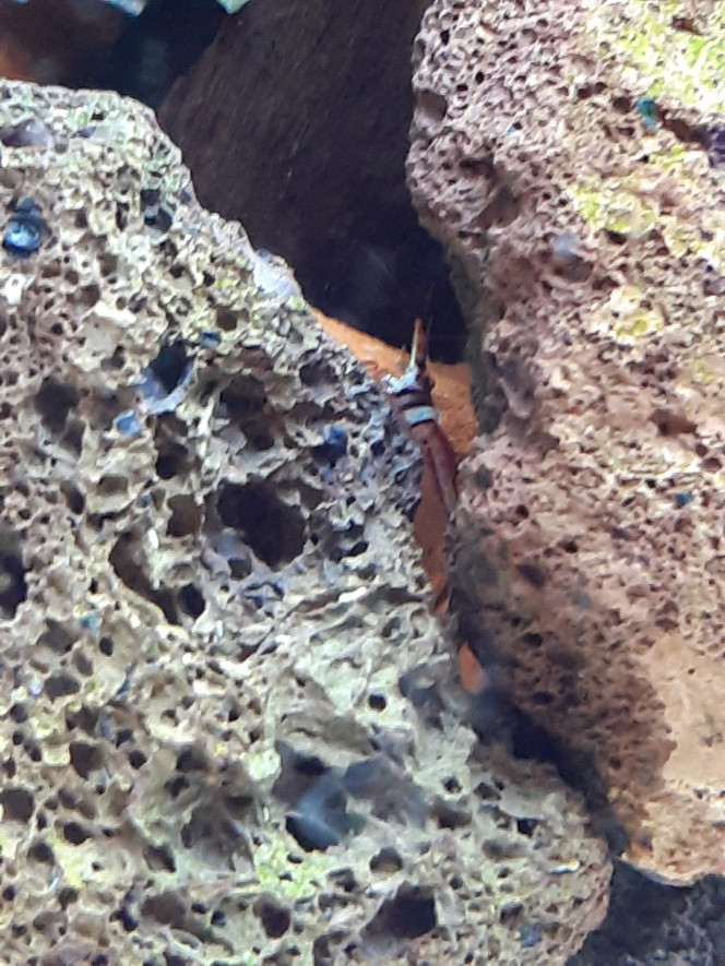 Photographie du post de PORTELLI 