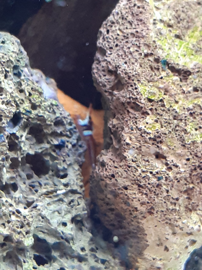 Photographie du post de PORTELLI 