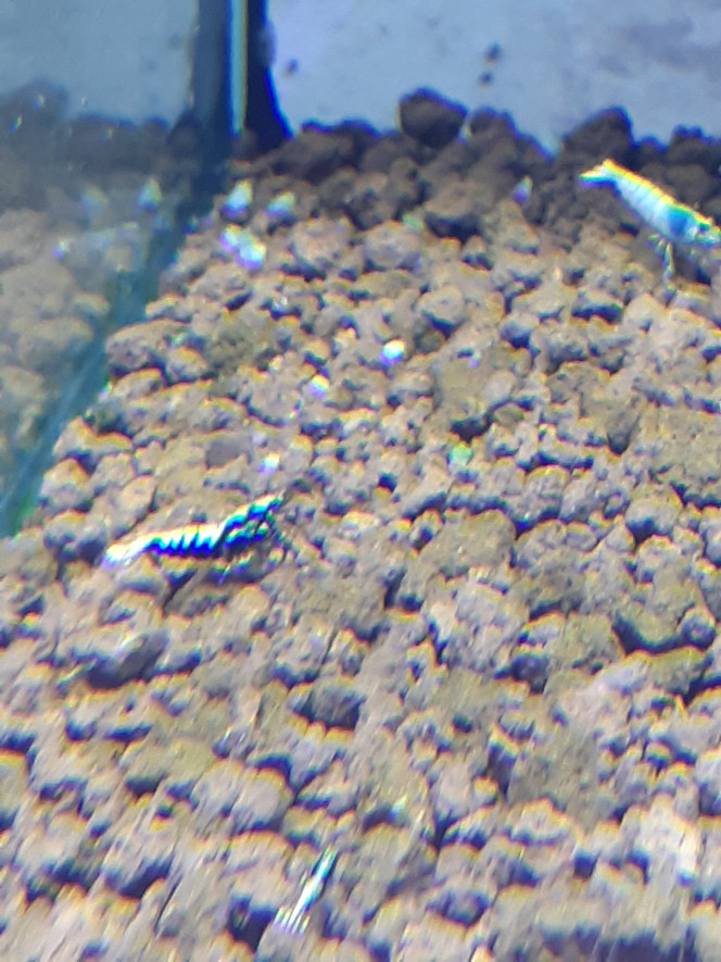 Photographie du post de PORTELLI 