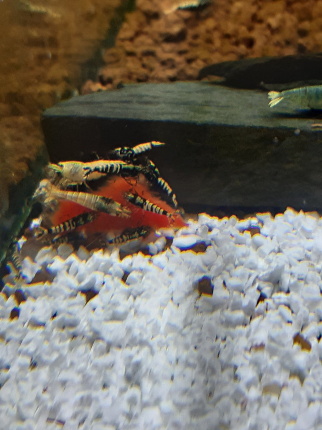 Photographie du post de PORTELLI 