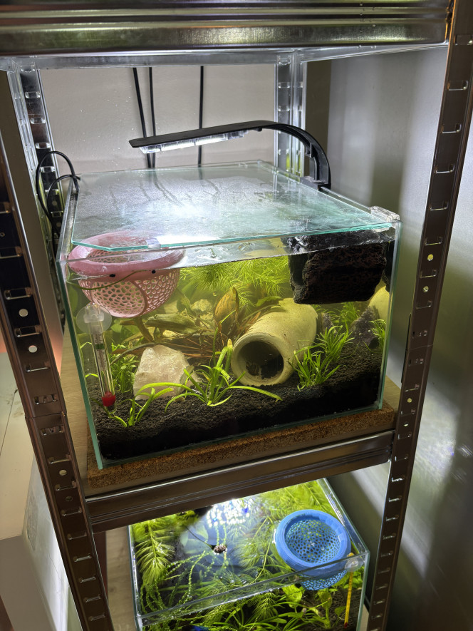 Changement du sol par du sol technique 