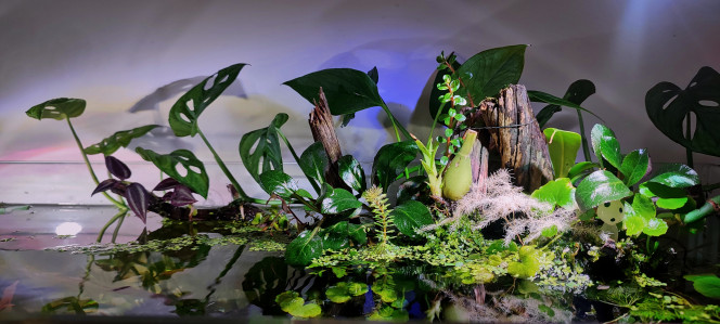 Photographie du post de PtiteNoli 