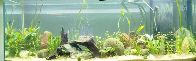 Photographie du post de Dessin72 