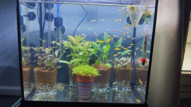 Photographie du post de Abdhul 