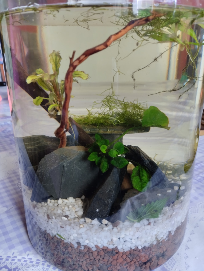 Photographie du post de lolo95 