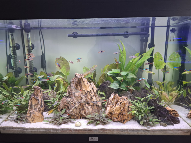 Photographie du post de Guiguidu57 