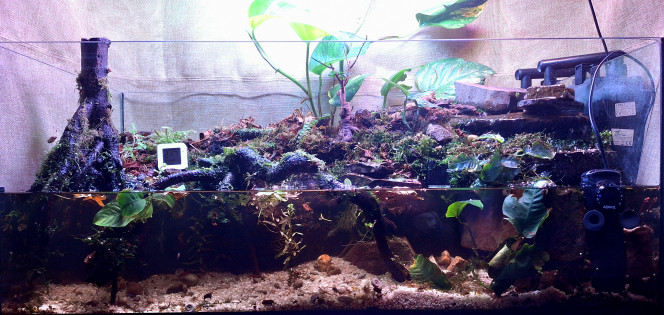 Nouveau fond ! Couleur plus neutre pour l'arrière du bac.
Ça pique moins les yeux.