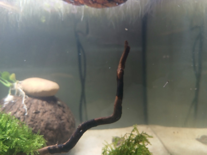 Photographie du post de Elisa30 