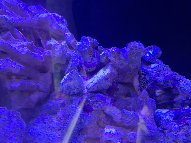 Photographie du post de Guiguidu57 