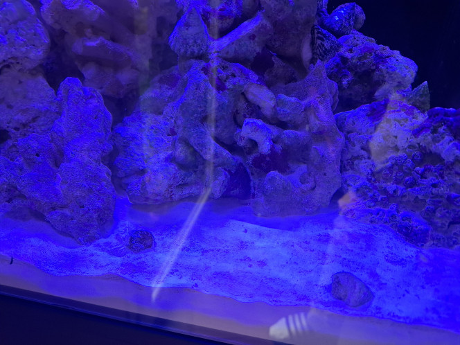 Photographie du post de Guiguidu57 