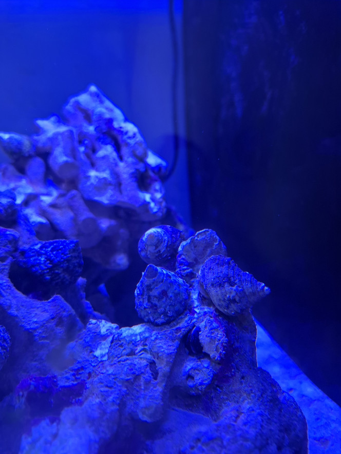 Photographie du post de Guiguidu57 