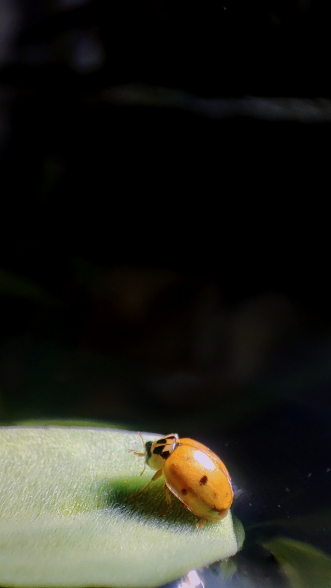 Photographie du post de PtiteNoli 