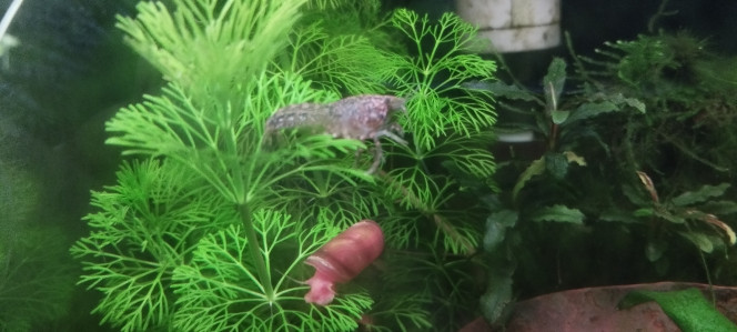 Photographie du post de Olivier1977 