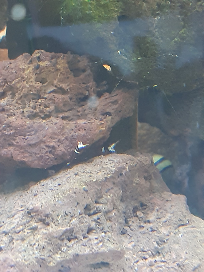 Photographie du post de PORTELLI 