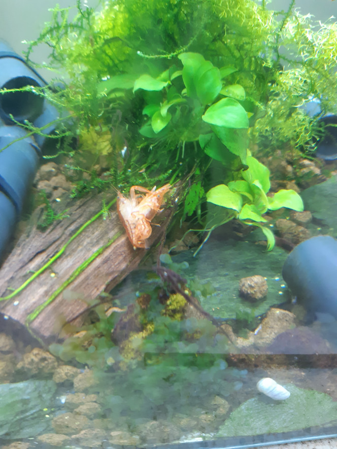 Photographie du post de PORTELLI 