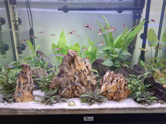 Photographie du post de Guiguidu57 