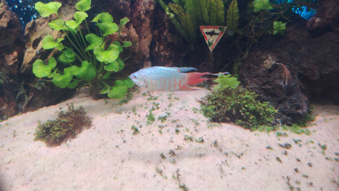 Photographie du post de Flo83 