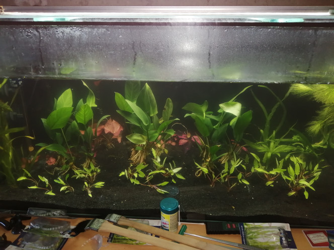 Photographie du post de lexx 