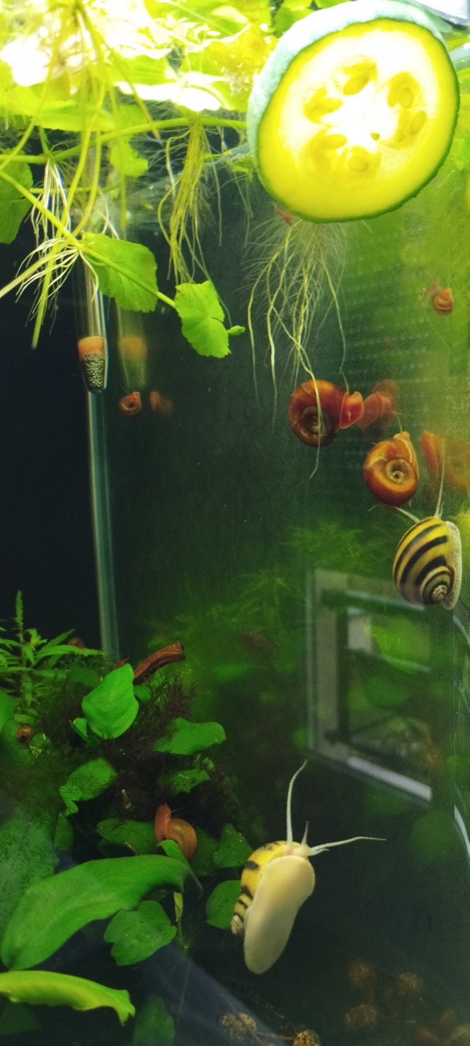 Photographie du post de Olivier1977 