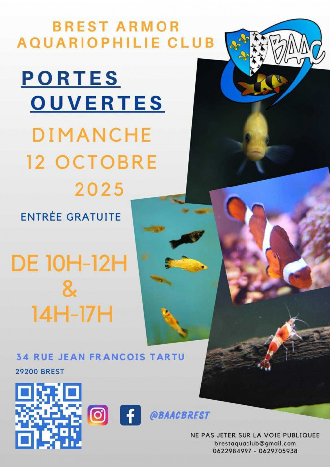 Photographie du post de Patriciah2o 