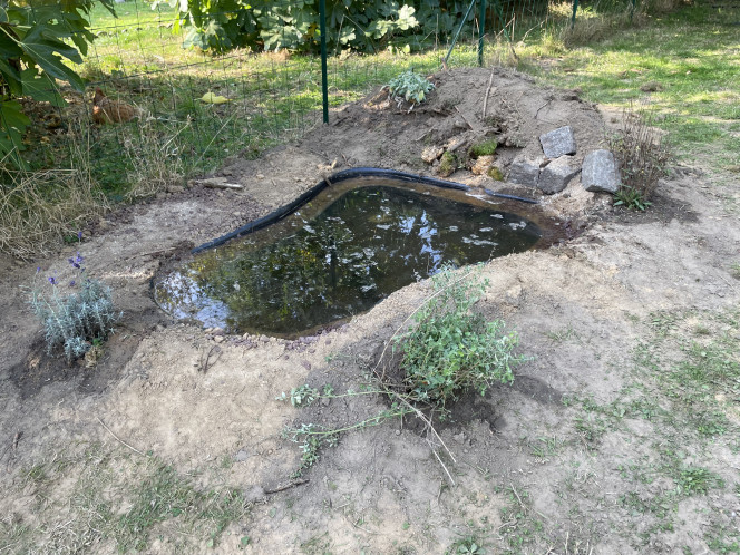 Installation aujourd’hui d’une mare naturelle Pas de poissons prévus dans celle-ci, mais on espère de la faune sauvage.