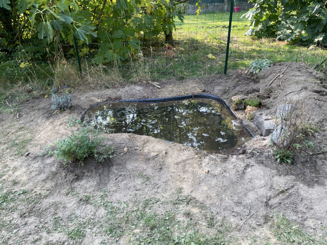 Installation aujourd’hui d’une mare naturelle Pas de poissons prévus dans celle-ci, mais on espère de la faune sauvage.