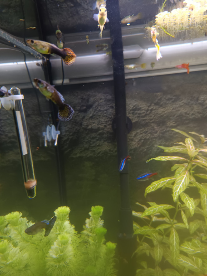 Photographie du post de Thyto30 